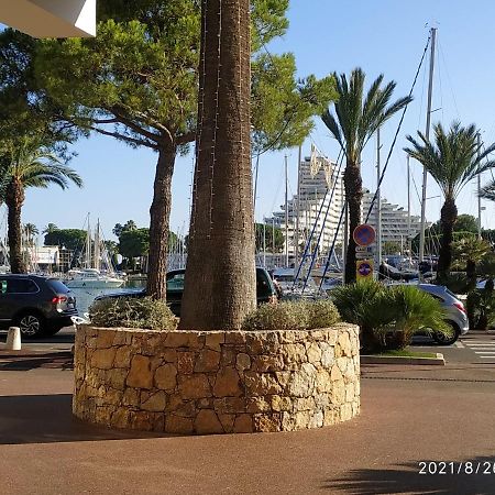 Studio Rez De Jardin Marina Baie Des Anges فينوف لوبيه المظهر الخارجي الصورة