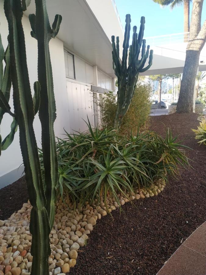Studio Rez De Jardin Marina Baie Des Anges فينوف لوبيه المظهر الخارجي الصورة