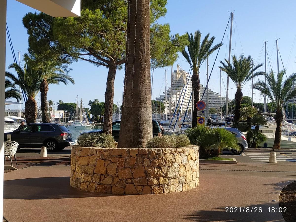 Studio Rez De Jardin Marina Baie Des Anges فينوف لوبيه المظهر الخارجي الصورة