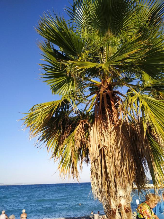 Studio Rez De Jardin Marina Baie Des Anges فينوف لوبيه المظهر الخارجي الصورة